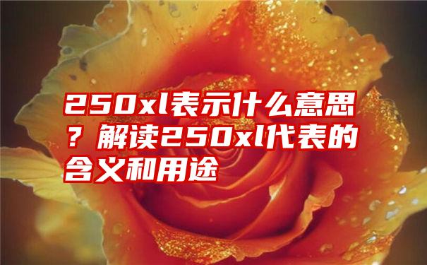 250xl表示什么意思？解读250xl代表的含义和用途