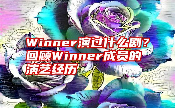 Winner演过什么剧？回顾Winner成员的演艺经历