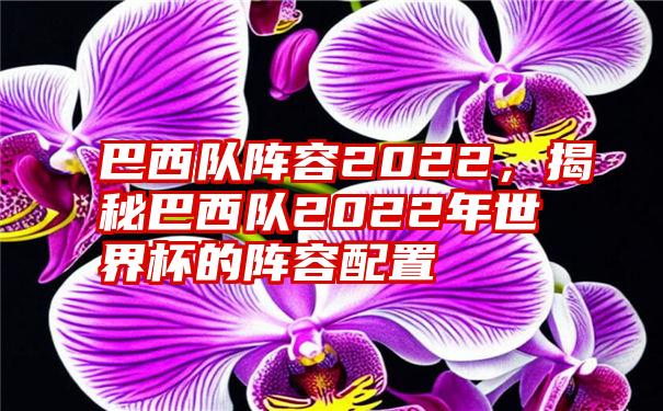 巴西队阵容2022，揭秘巴西队2022年世界杯的阵容配置