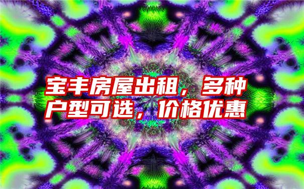 宝丰房屋出租，多种户型可选，价格优惠