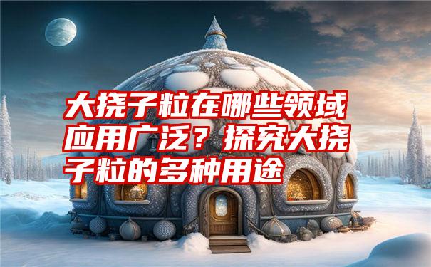 大挠子粒在哪些领域应用广泛？探究大挠子粒的多种用途