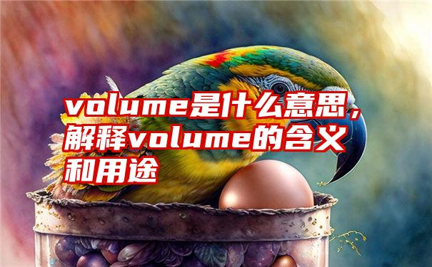 volume是什么意思，解释volume的含义和用途