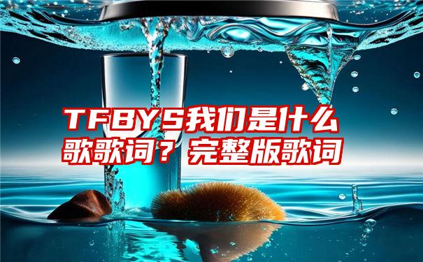 TFBYS我们是什么歌歌词？完整版歌词