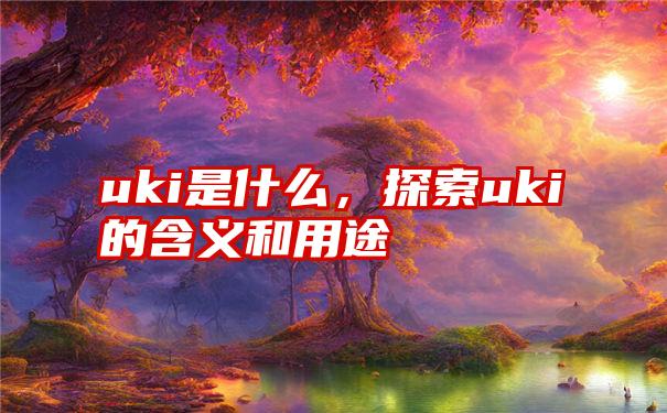 uki是什么，探索uki的含义和用途