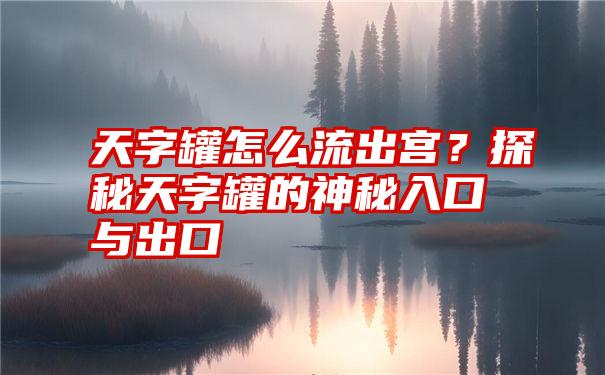 天字罐怎么流出宫？探秘天字罐的神秘入口与出口