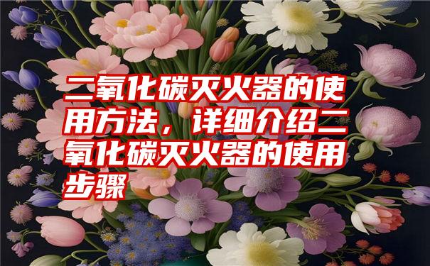 二氧化碳灭火器的使用方法，详细介绍二氧化碳灭火器的使用步骤