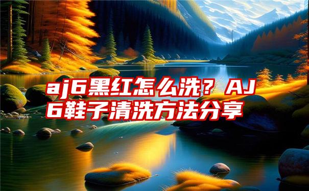 aj6黑红怎么洗？AJ6鞋子清洗方法分享