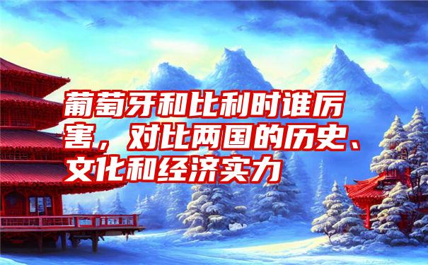 葡萄牙和比利时谁厉害，对比两国的历史、文化和经济实力