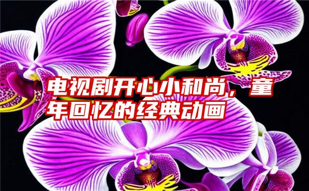 电视剧开心小和尚，童年回忆的经典动画