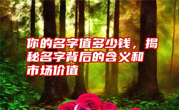 你的名字值多少钱，揭秘名字背后的含义和市场价值