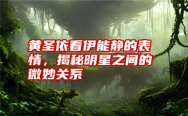 黄圣依看伊能静的表情，揭秘明星之间的微妙关系