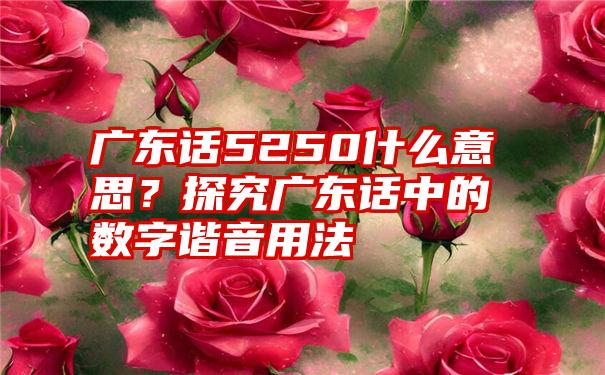 广东话5250什么意思？探究广东话中的数字谐音用法