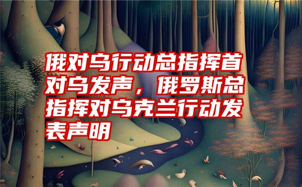 俄对乌行动总指挥首对乌发声，俄罗斯总指挥对乌克兰行动发表声明