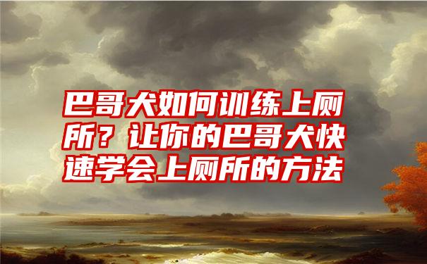 巴哥犬如何训练上厕所？让你的巴哥犬快速学会上厕所的方法