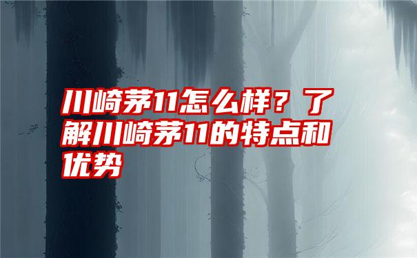 川崎茅11怎么样？了解川崎茅11的特点和优势