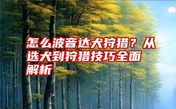 怎么波音达犬狩猎？从选犬到狩猎技巧全面解析