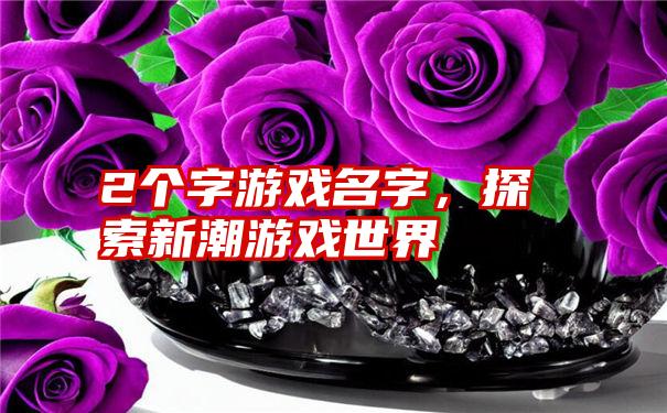 2个字游戏名字,探索新潮游戏世界