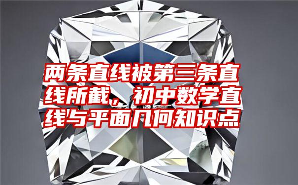 两条直线被第三条直线所截，初中数学直线与平面几何知识点