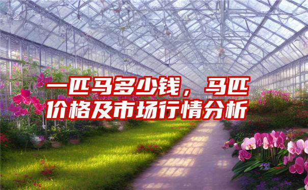 一匹马多少钱,马匹价格及市场行情分析