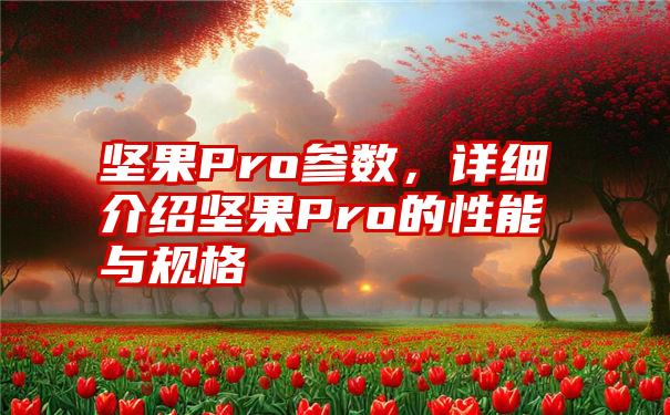 坚果Pro参数，详细介绍坚果Pro的性能与规格