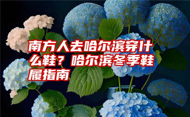 南方人去哈尔滨穿什么鞋？哈尔滨冬季鞋履指南