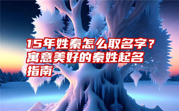 15年姓秦怎么取名字？寓意美好的秦姓起名指南