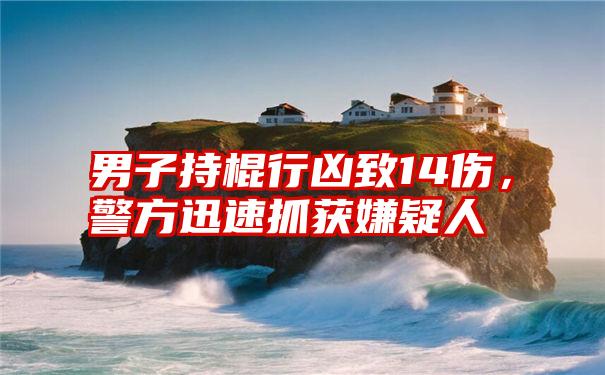 男子持棍行凶致14伤，警方迅速抓获嫌疑人