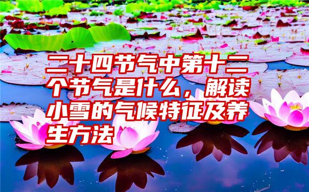 二十四节气中第十二个节气是什么，解读小雪的气候特征及养生方法