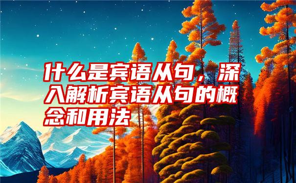 什么是宾语从句，深入解析宾语从句的概念和用法