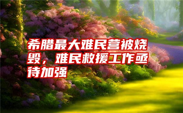 希腊最大难民营被烧毁，难民救援工作亟待加强