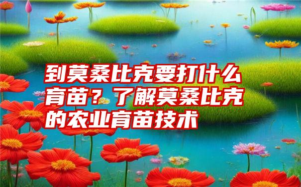 到莫桑比克要打什么育苗？了解莫桑比克的农业育苗技术