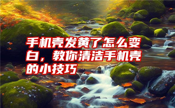 手机壳发黄了怎么变白,教你清洁手机壳的小技巧