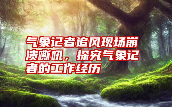 气象记者追风现场崩溃嘶吼，探究气象记者的工作经历