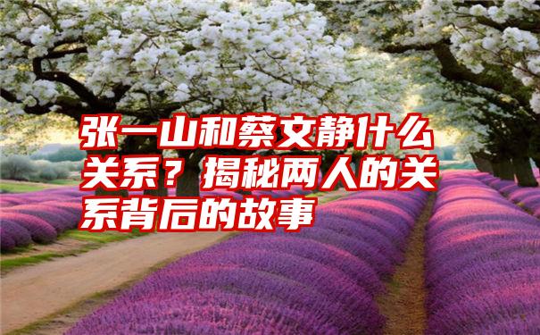 张一山和蔡文静什么关系？揭秘两人的关系背后的故事