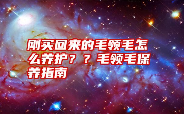 刚买回来的毛领毛怎么养护？？毛领毛保养指南