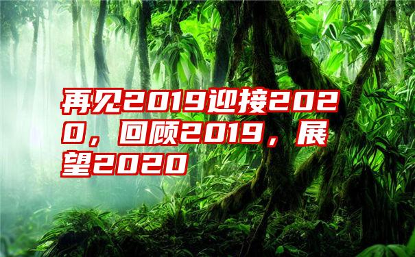 再见2019迎接2020，回顾2019，展望2020