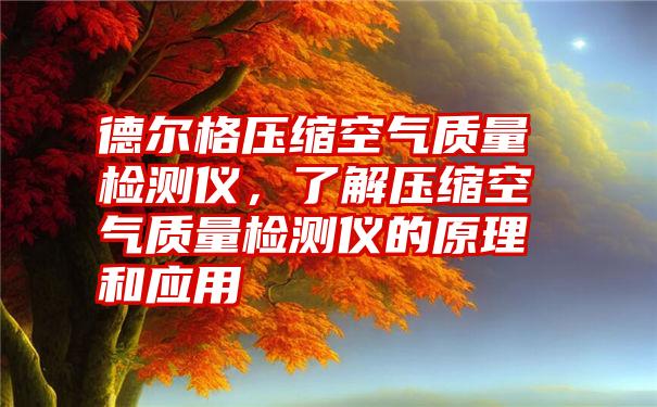 德尔格压缩空气质量检测仪，了解压缩空气质量检测仪的原理和应用