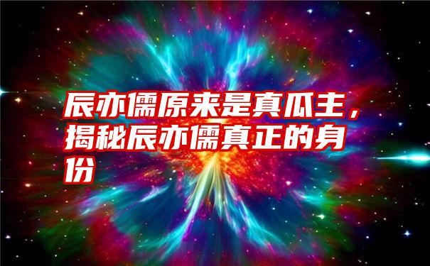 辰亦儒原来是真瓜主，揭秘辰亦儒真正的身份