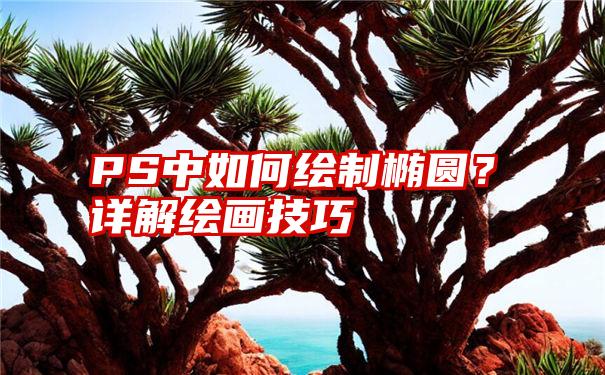 PS中如何绘制椭圆?详解绘画技巧