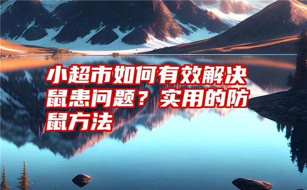 小超市如何有效解决鼠患问题？实用的防鼠方法