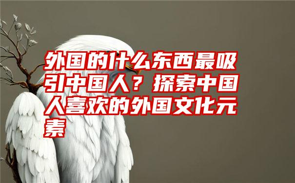 外国的什么东西最吸引中国人？探索中国人喜欢的外国文化元素