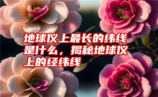地球仪上最长的纬线是什么,揭秘地球仪上的经纬线