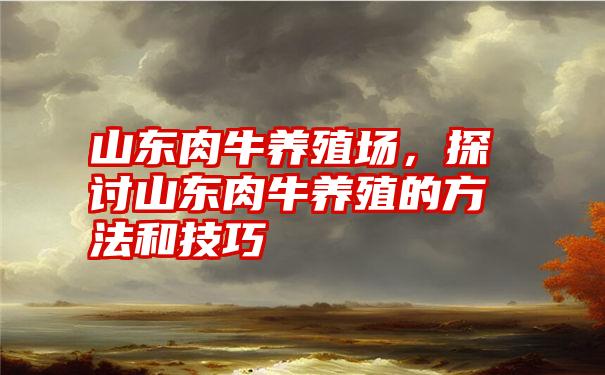 山东肉牛养殖场，探讨山东肉牛养殖的方法和技巧