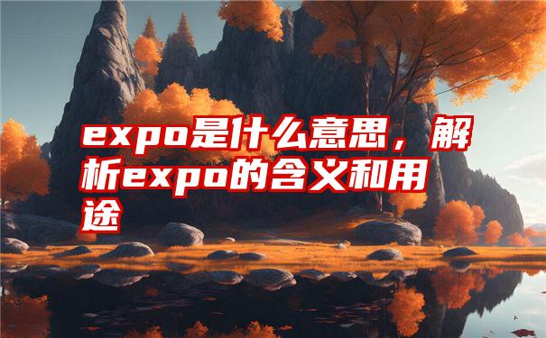 expo是什么意思，解析expo的含义和用途