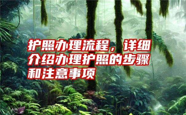 护照办理流程，详细介绍办理护照的步骤和注意事项