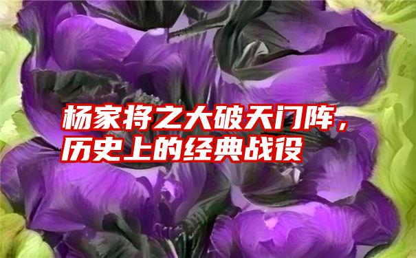 杨家将之大破天门阵,历史上的经典战役