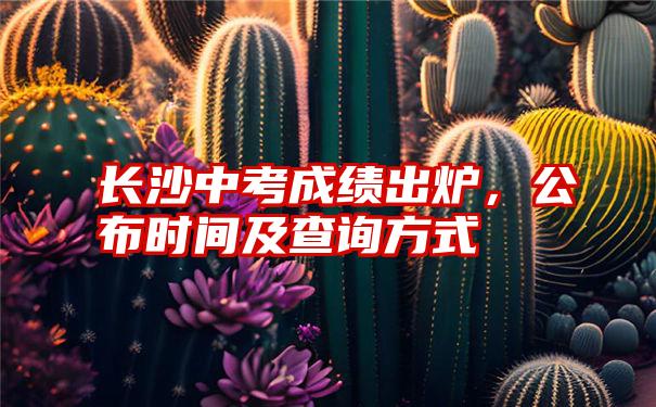 长沙中考成绩出炉，公布时间及查询方式