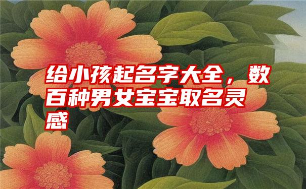 给小孩起名字大全，数百种男女宝宝取名灵感