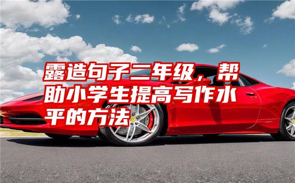 露造句子二年级，帮助小学生提高写作水平的方法