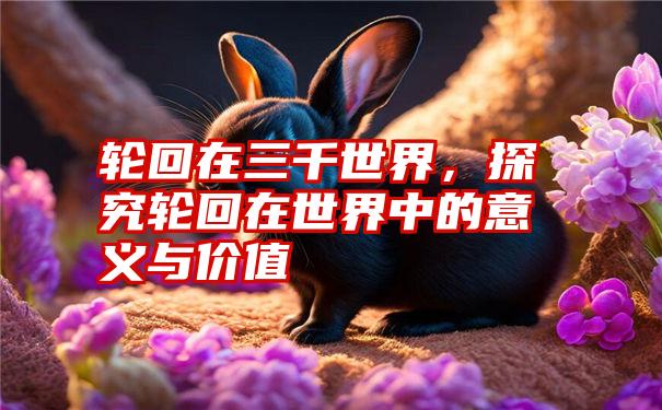 轮回在三千世界，探究轮回在世界中的意义与价值